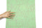 Light Green Damask Burnout Out Knit Jersey Fabric 41 Inches Length PDK00205