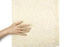 Cream Fancy Embroidered Mesh with Glitter Fabric 34 inches length LMS00135