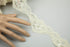 Buttercream Scalloped Sequined Lace Trim 18 yards