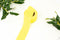 Yellow Crepe Georgette Woven Bias Tape Binding Tape Trim 1.25 inches width x 6.5 yards BST00207