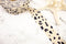 Animal Print Polyester Crepe Georgette Woven Bias Tape 1.25 inches width x 26 yards
