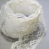Light Ecru Scalloped Lace Trim per 5 yards NLT00041