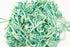 Green Chiffon Trim Spaghetti Straps Hollow Tube Tubular Ombre with Embroidery and Sequins Two pieces that total 36 yards ATN00138